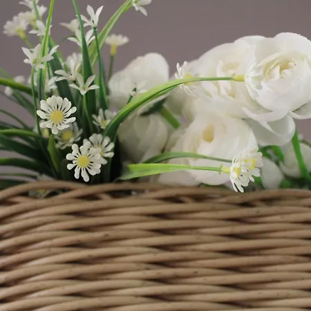 Casa Asterope Διαμέρισμα Francavilla Al Mare