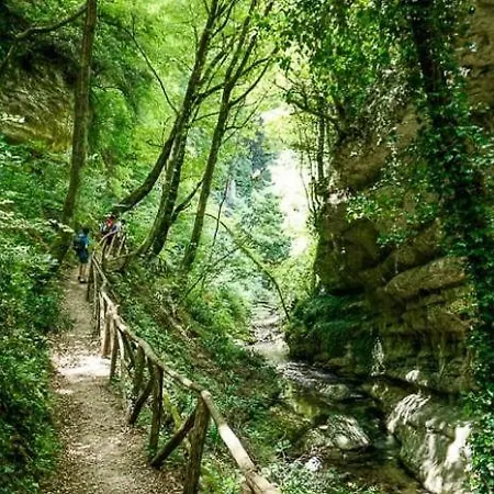 Apartament Casa Asterope