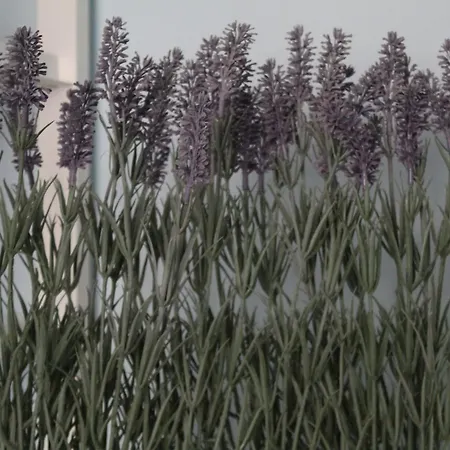 Apartament Casa Asterope Francavilla Al Mare