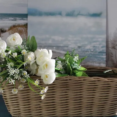 Apartament Casa Asterope