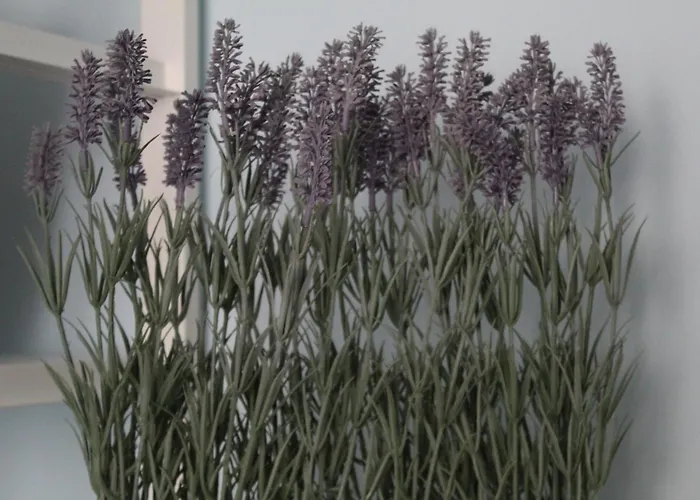 Apartamento Casa Asterope Francavilla Al Mare